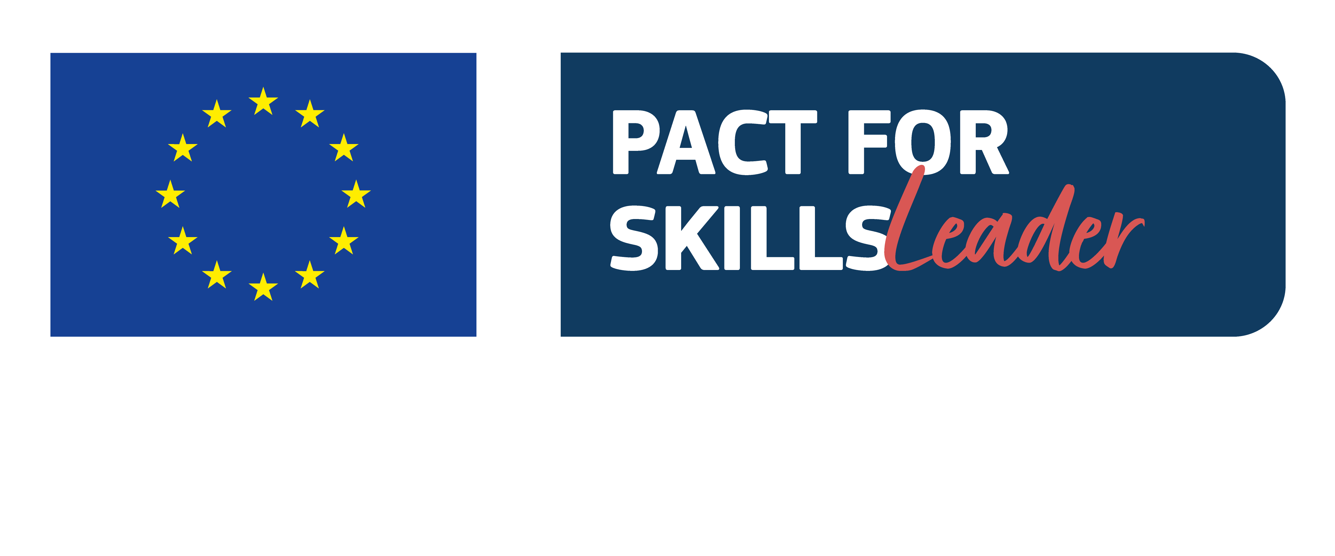 Pact for Skills — badge ufficiale